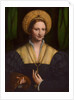 Portrait of a lady, 1520-1525 by Bernardino Luini