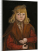 A Prince of Saxony, c.1517 by Lucas the Elder Cranach