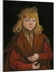 A Prince of Saxony, c.1517 by Lucas the Elder Cranach