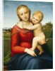 The Small Cowper Madonna, c.1505 by Raphael (1483-1520)