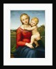 The Small Cowper Madonna, c.1505 by Raphael (1483-1520)