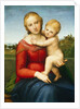 The Small Cowper Madonna, c.1505 by Raphael (1483-1520)
