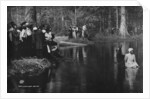 A Southern baptism, Aiken, 1900-06 by Detroit Publishing Co.