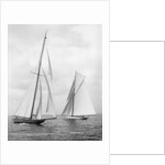 Shamrock II and Columbia at the start of the America's Cup, 1901 by Detroit Publishing Co.