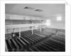 Friends' Meeting House, interior, Philadelphia, 1900-20 by Detroit Publishing Co.