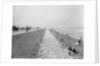 Seawall and beach, Galveston, Texas, 1910-20 by Detroit Publishing Co.