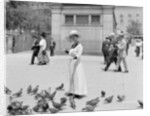 Feeding the pigeons, Boston Common by Anonymous