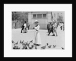 Feeding the pigeons, Boston Common by Anonymous