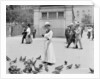 Feeding the pigeons, Boston Common by Anonymous