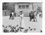 Feeding the pigeons, Boston Common by Anonymous