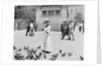 Feeding the pigeons, Boston Common by Anonymous