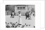 Feeding the pigeons, Boston Common by Anonymous