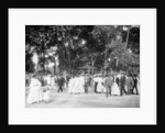Band concert, Lincoln Park, Chicago, Ill. by Anonymous