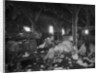 Cotton gin at Dahomey by Anonymous