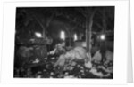 Cotton gin at Dahomey by Anonymous