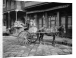 A New Orleans milk cart, New Orleans, La. by Anonymous