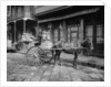 A New Orleans milk cart, New Orleans, La. by Anonymous