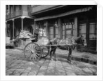 A New Orleans milk cart, New Orleans, La. by Anonymous