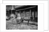 A New Orleans milk cart, New Orleans, La. by Anonymous