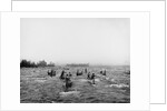 Indians fishing in the rapids, Sault Ste. Marie, Michigan, c.1900 by Detroit Publishing Co.