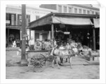 New Orleans, a corner of the French Market, c.1900-10 by Detroit Publishing Co.