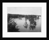 The Lost Channel, Thousand Islands, c.1890-1901 by Detroit Publishing Co.