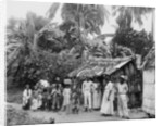 Puerto Rican natives, c.1903 by Detroit Publishing Co.