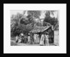 Puerto Rican natives, c.1903 by Detroit Publishing Co.