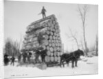 Logging a big load, Michigan, c.1880-99 by Detroit Publishing Co.