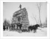 Logging a big load, Michigan, c.1880-99 by Detroit Publishing Co.