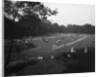 The Tennis courts, Central Park, New York, c.1904 by Detroit Publishing Co.