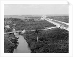 Drainage canal and Everglades, Miami, Florida, c.1910-20 by Detroit Publishing Co.
