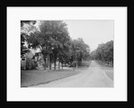 The Campus, Williams College, Williamstown, Massachusetts, c.1904 by Detroit Publishing Co.