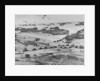 D Day: view of landing craft, barrage balloons, and allied troops landing in Normandy, 1944 by American Photographer