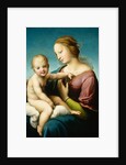 Niccolini-Cowper Madonna, 1508 by Raphael