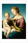 Niccolini-Cowper Madonna, 1508 by Raphael