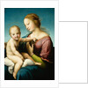 Niccolini-Cowper Madonna, 1508 by Raphael