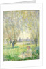Woman seated under the Willows, 1880 by Claude Monet