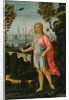 Saint John the Baptist, c.1480 by Jacopo del Sellaio