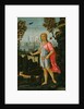 Saint John the Baptist, c.1480 by Jacopo del Sellaio