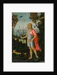 Saint John the Baptist, c.1480 by Jacopo del Sellaio