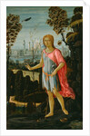Saint John the Baptist, c.1480 by Jacopo del Sellaio