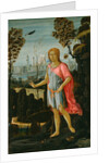Saint John the Baptist, c.1480 by Jacopo del Sellaio
