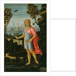 Saint John the Baptist, c.1480 by Jacopo del Sellaio