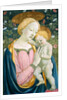 Madonna and Child, c.1445/1450 by Domenico Veneziano