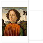 Portrait of a Boy, c.1476/1480 by Biagio d'Antonio