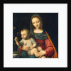The Madonna of the Carnation, c.1515 by Bernardino Luini