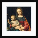 The Madonna of the Carnation, c.1515 by Bernardino Luini