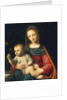 The Madonna of the Carnation, c.1515 by Bernardino Luini