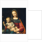 The Madonna of the Carnation, c.1515 by Bernardino Luini